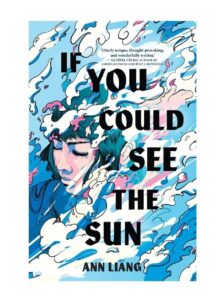 If You Could See the Sun