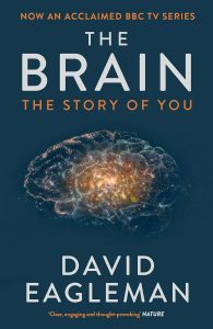 The-Brain.jpg